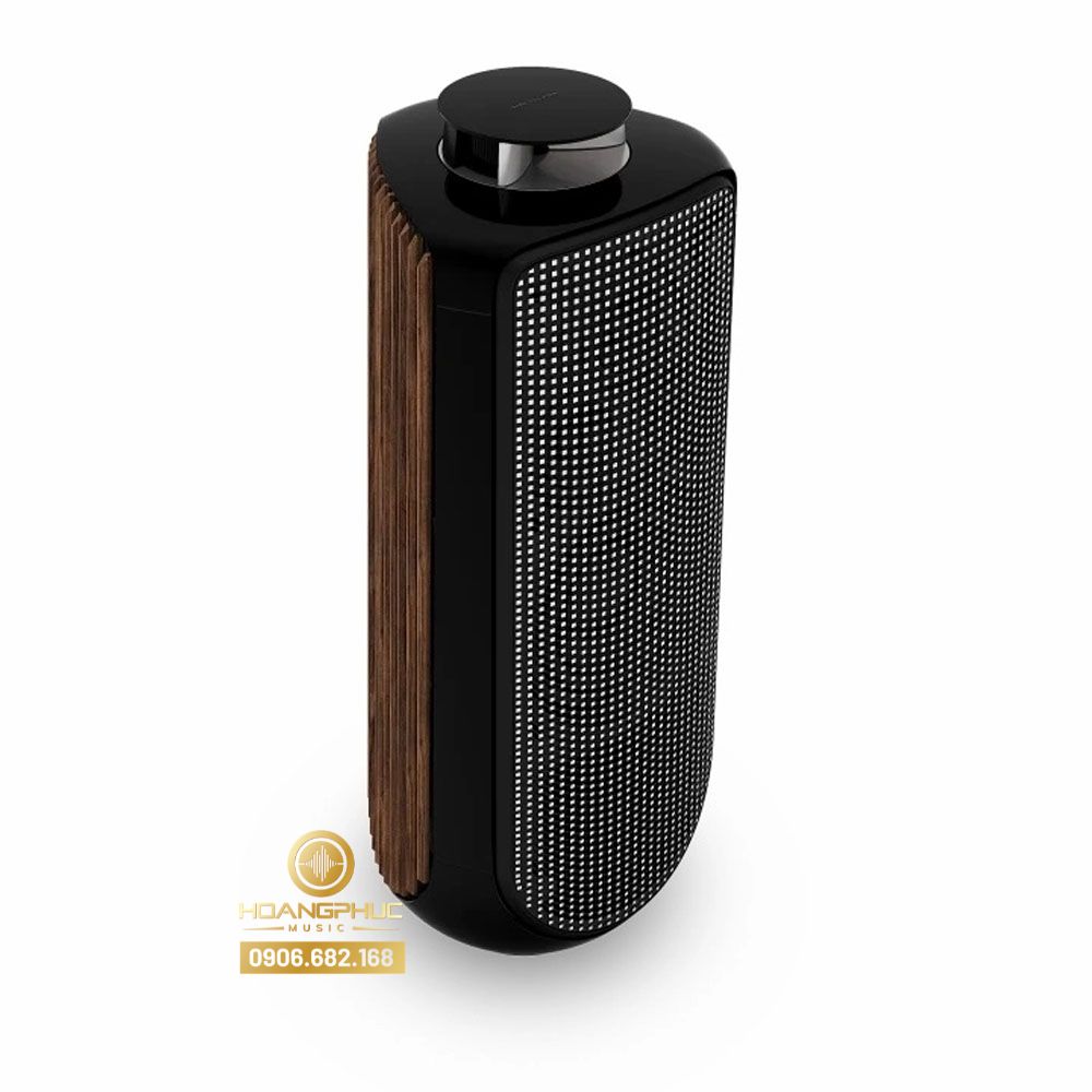 B&O BEOLAB 50 BRASS - SMOKE OAK